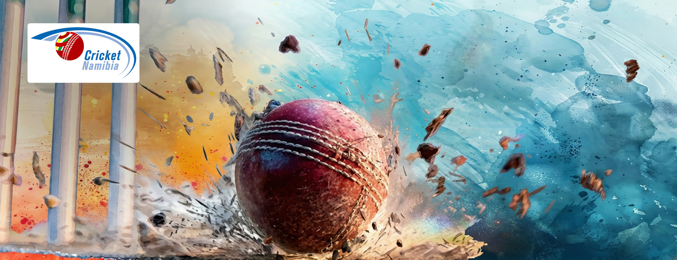 Namibia Cricket Board